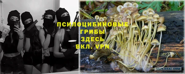 каннабис Туринск