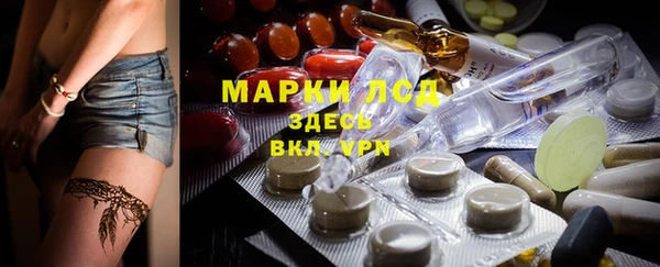 гидра Грязовец