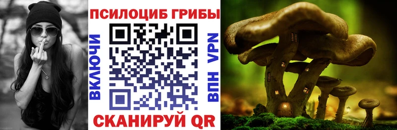 Галлюциногенные грибы мицелий  Певек 